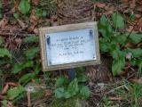 image of grave number 321309